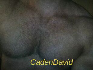Caden_David Archive DVD ORG