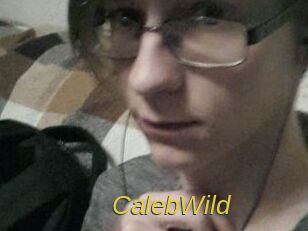CalebWild Archive DVD ORG
