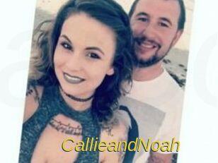 Callie_and_Noah Archive DVD ORG