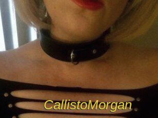 CallistoMorgan Archive DVD ORG