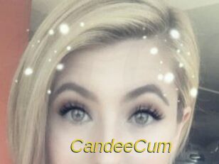 Candee_Cum Archive DVD ORG