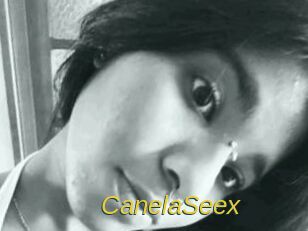 CanelaSeex Archive DVD ORG