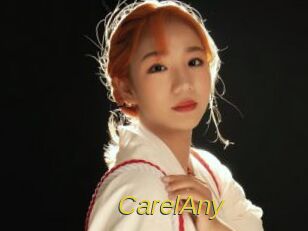CarelAny Archive DVD ORG