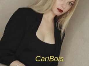 CariBois