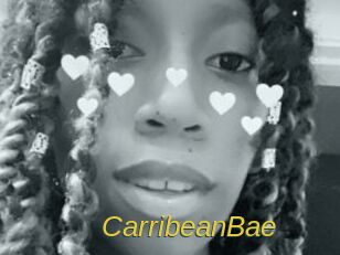 CarribeanBae Archive DVD ORG