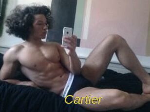 Cartier_ Archive DVD ORG