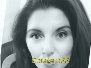 Cataleya88