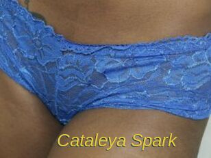 Cataleya_Spark