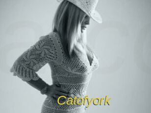 Catofyork