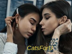 CatsForU