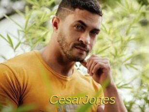 CesarJones Archive DVD ORG