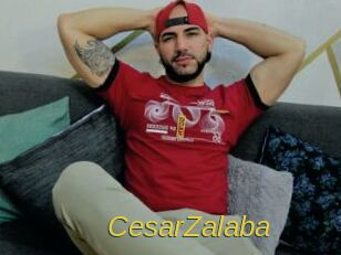 CesarZalaba Archive DVD ORG