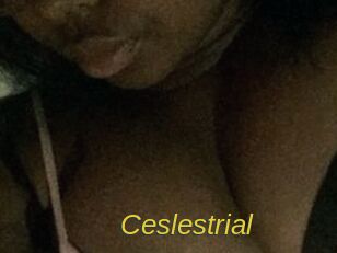 Ceslestrial