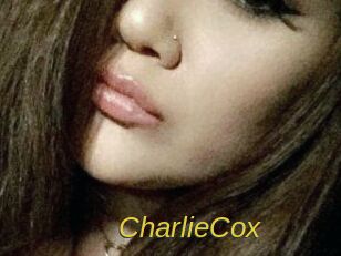 Charlie_Cox Archive DVD ORG