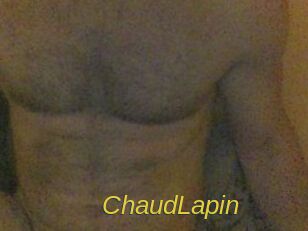 ChaudLapin