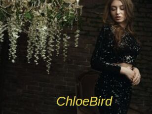 ChloeBird