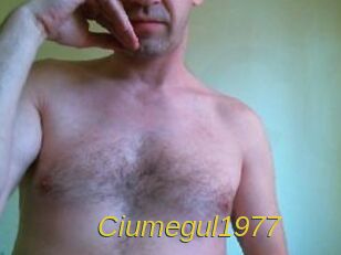 Ciumegul1977