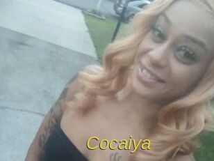 Cocaiya Archive DVD ORG