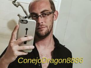 ConejoDragon8886