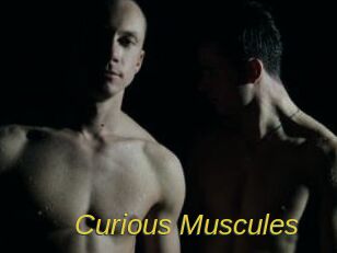 Curious_Muscules