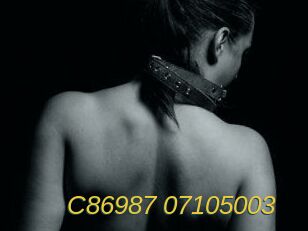 C86987-07105003