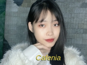 cafenia Archive DVD ORG