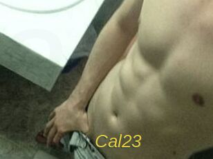 Cal23