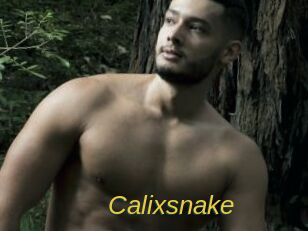 Calixsnake