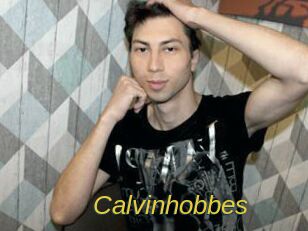 Calvinhobbes