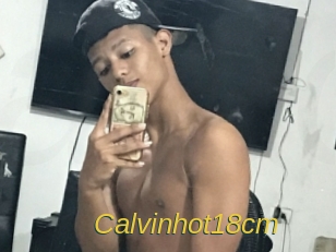 Calvinhot18cm