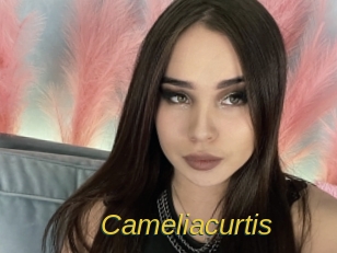 Cameliacurtis