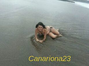Canariona23