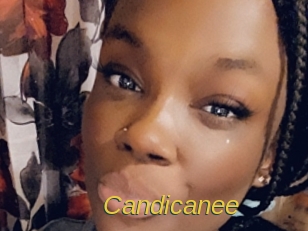 Candicanee