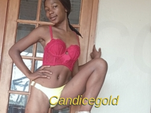candicegold Archive DVD ORG