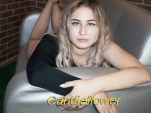 Candieflower