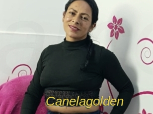 canelagolden Archive DVD ORG