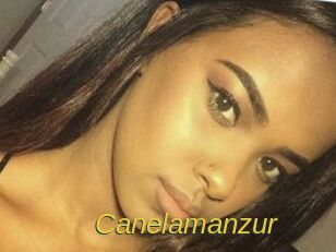 Canelamanzur