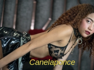 canelaponce Archive DVD ORG