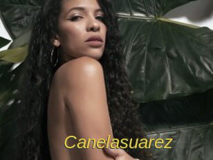 Canelasuarez