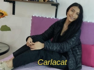 Carlacat