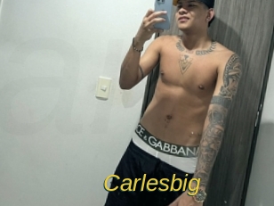 carlesbig Archive DVD ORG