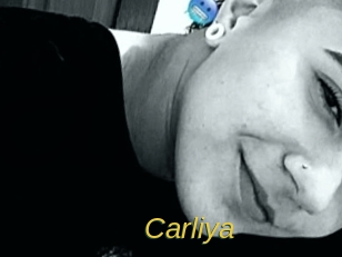 carliya Archive DVD ORG