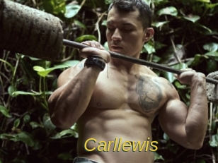 Carllewis