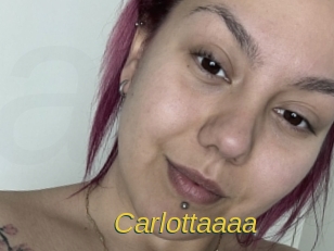 carlottaaaa Archive DVD ORG