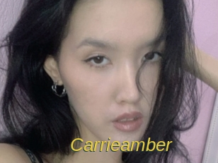 carrieamber Archive DVD ORG