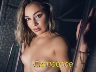 carriebrice Archive DVD ORG