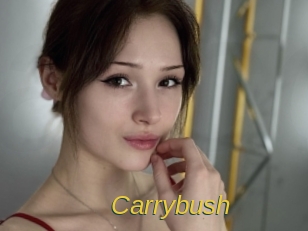 Carrybush