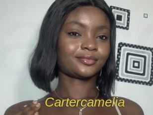 cartercamelia Archive DVD ORG