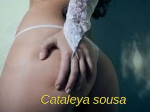 Cataleya_sousa
