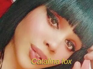 Catalina_fox